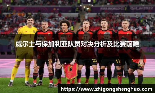 威尔士与保加利亚队员对决分析及比赛前瞻