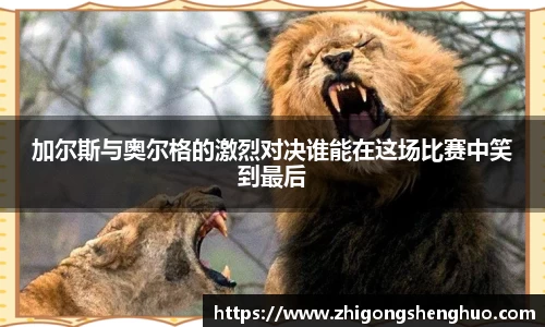加尔斯与奥尔格的激烈对决谁能在这场比赛中笑到最后